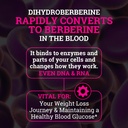black-forest-5x-berberine-a-dihydroberbe-4.jpg