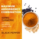 turmeric-curcumin-gummies-500mg-for-adul-4.jpg