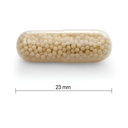 jamieson-vitamin-c-500-mg-timed-release--4.jpg