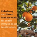 thomas-all-natural-remedies-vitamin-c-wi-2.jpg