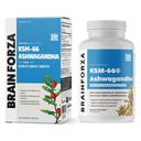 brain-forza-ksm-66-ashwagandha-organic-p-6.jpg