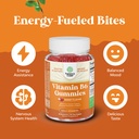 potent-vitamin-b6-gummies-for-adults-pot-4.jpg