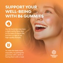 potent-vitamin-b6-gummies-for-adults-pot-2.jpg