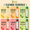 7-day-juice-cleanse-by-raw-fountain-trop-4.jpg