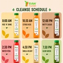 7-day-protein-juice-cleanse-by-raw-fount-4.jpg