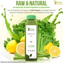 7-day-celery-juice-cleanse-by-raw-founta-5.jpg