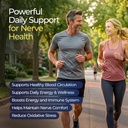 the-nerve-brand-neuropathy-support-gummi-3.jpg