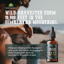 shilajit-liquid-supplement-with-ashwagan-4.jpg