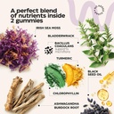 collagen-and-sea-moss-gummies-bundle-col-5.jpg