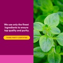 natural-factors-oil-of-oregano-liquid-an-5.jpg