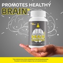best-nootropic-brain-booster-for-memory--5.jpg