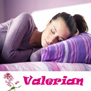 valerian-root-capsules-organic-500mg-her-5.jpg