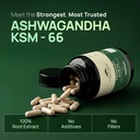 rasayanam-ashwagandha-ksm-66-500mg-5-wit-2.jpg