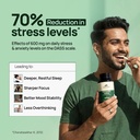 rasayanam-ashwagandha-ksm-66-500mg-5-wit-6.jpg