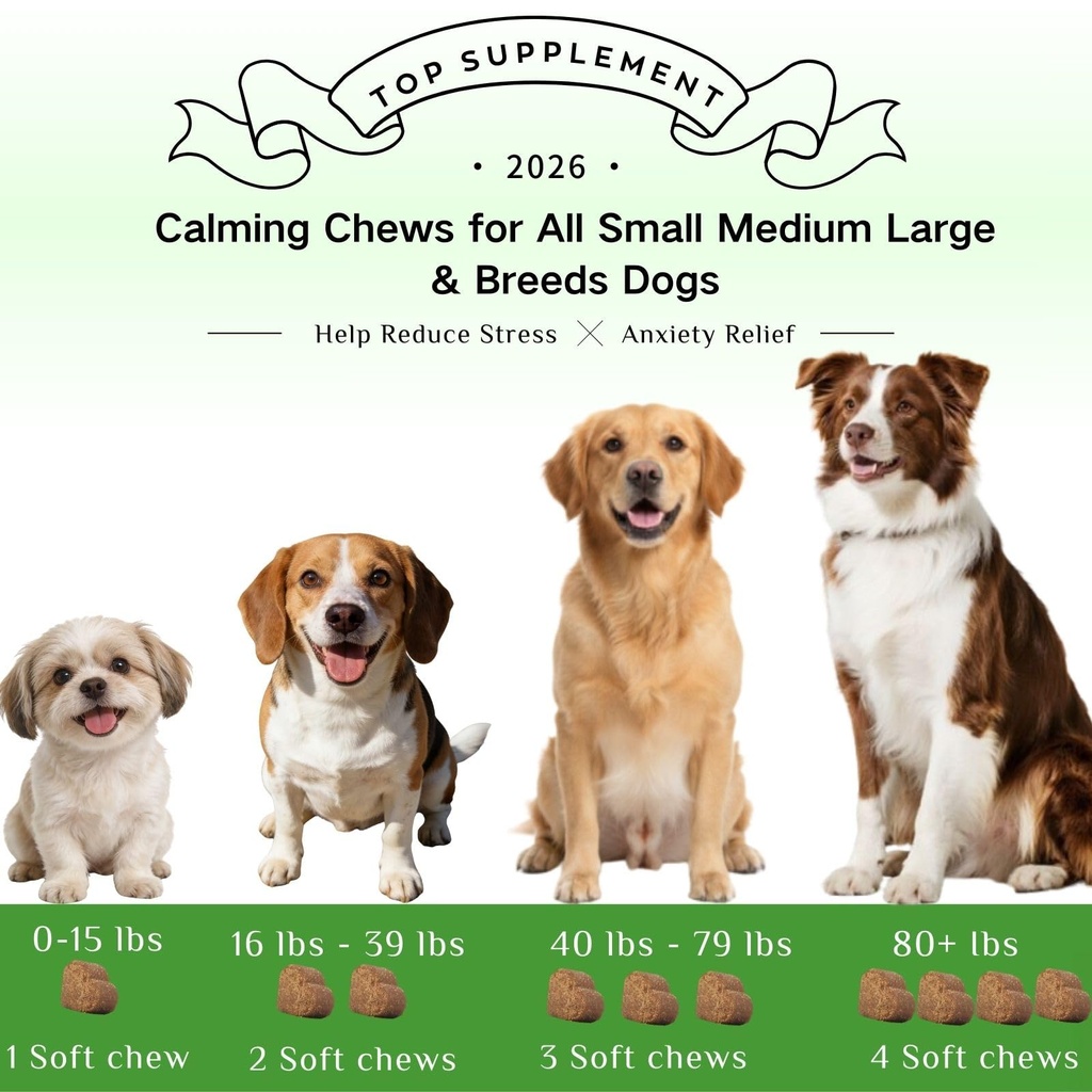 dog-melatonin-calming-chews-relaxation-s-5.jpg