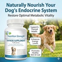 thyroid-supplement-for-dogs-support-for--2.jpg