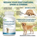 thyroid-supplement-for-dogs-support-for--4.jpg