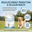 thyroid-supplement-for-dogs-support-for--3.jpg