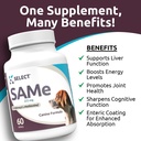 k9-select-sam-e-for-dogs-225mg-60-tablet-6.jpg