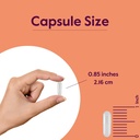 bestvite-l-glutamine-500mg-per-capsule-2-4.jpg