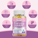 vidavite-sugar-free-prenatal-gummies-30--2.jpg