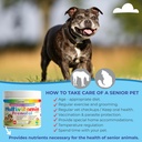 dog-prenatal-vitamins-multivitamin-for-c-6.jpg