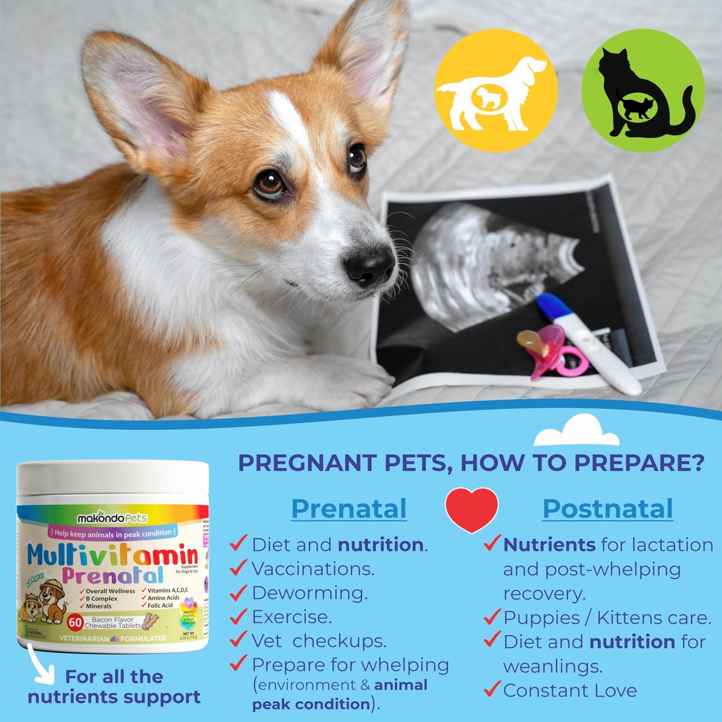 dog-prenatal-vitamins-multivitamin-for-c-5.jpg
