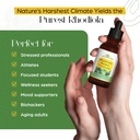 alaskan-rhodiola-rosea-tincture-natural--3.jpg