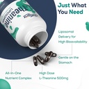 cybercerix-liposomal-l-theanine-500mg-co-6.jpg