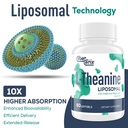cybercerix-liposomal-l-theanine-500mg-co-4.jpg