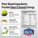 plant-based-nootropic-pouches-energy-pou-3.jpg