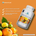 nature-s-lab-vitamin-c-1000mg-per-capsul-2.jpg