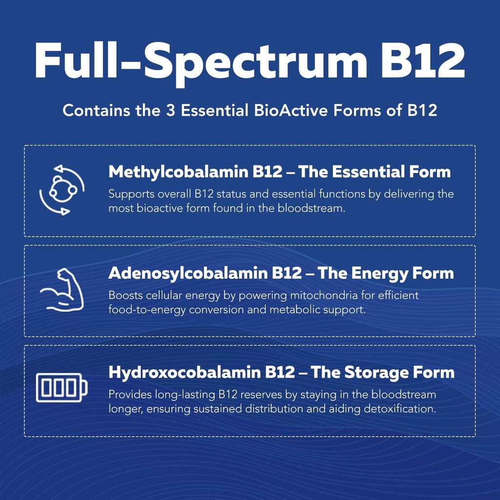bioactive-vitamin-b-complex-blood-stream-6.jpg