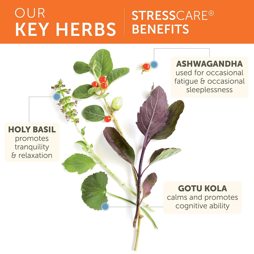 himalaya-stresscare-herbal-supplement-su-3.jpg