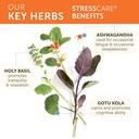 himalaya-stresscare-herbal-supplement-su-3.jpg