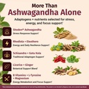1-body-adrenal-support-supplement-ashwag-4.jpg