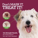 vetality-medicated-otic-drops-for-dog-ea-3.jpg