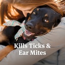 petarmor-ear-mite-treatment-for-dogs-ear-2.jpg