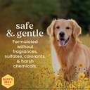 burt-s-bees-for-pets-ear-cleaner-for-dog-2.jpg