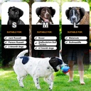 prohear-ungrade-gel-pads-dog-ear-muffs-d-2.jpg
