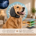 hofi-noise-protection-ear-covers-for-dog-3.jpg