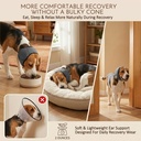 hofi-no-shake-ear-wraps-for-dogs-stop-he-4.jpg