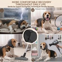 hofi-no-shake-ear-wraps-for-dogs-stop-he-6.jpg