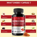 vpkin-berberine-supplement-berberine-wit-2.jpg