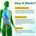 chlorophyll-capsules-120-caps-body-deodo-3.jpg