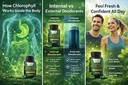 vitamisan-stem-cell-plus-chlorophyll-cap-5.jpg