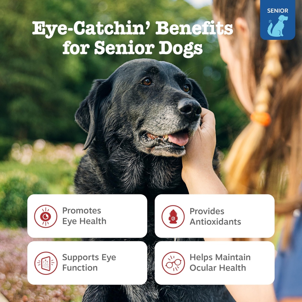 zesty-paws-eye-supplement-for-dogs-visio-2.jpg