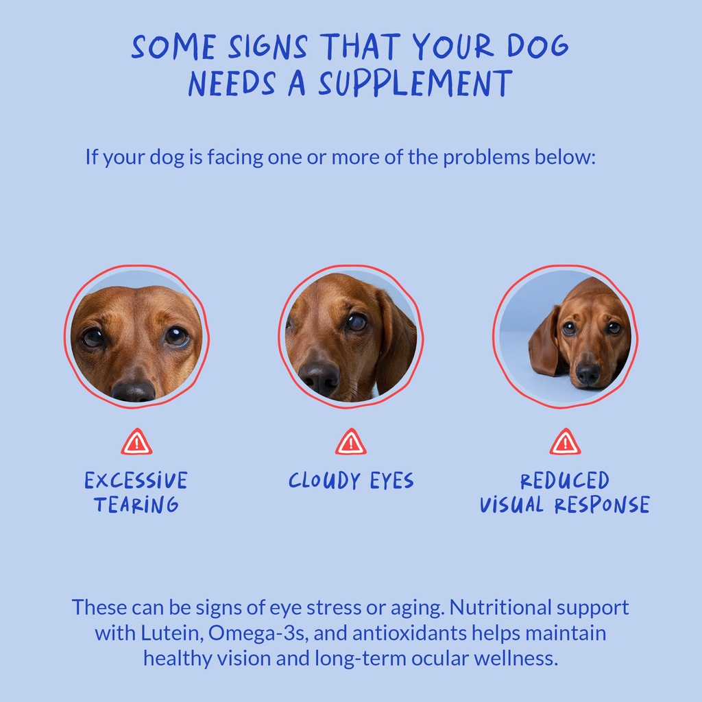eye-support-for-dogs-90-soft-chews-visio-5.jpg