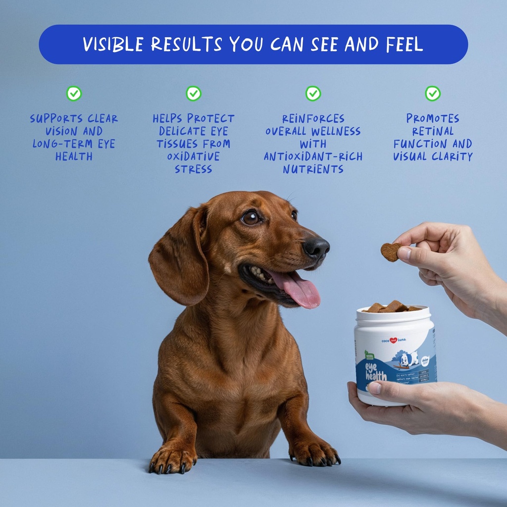 eye-support-for-dogs-90-soft-chews-visio-3.jpg