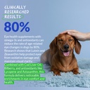 eye-support-for-dogs-90-soft-chews-visio-4.jpg